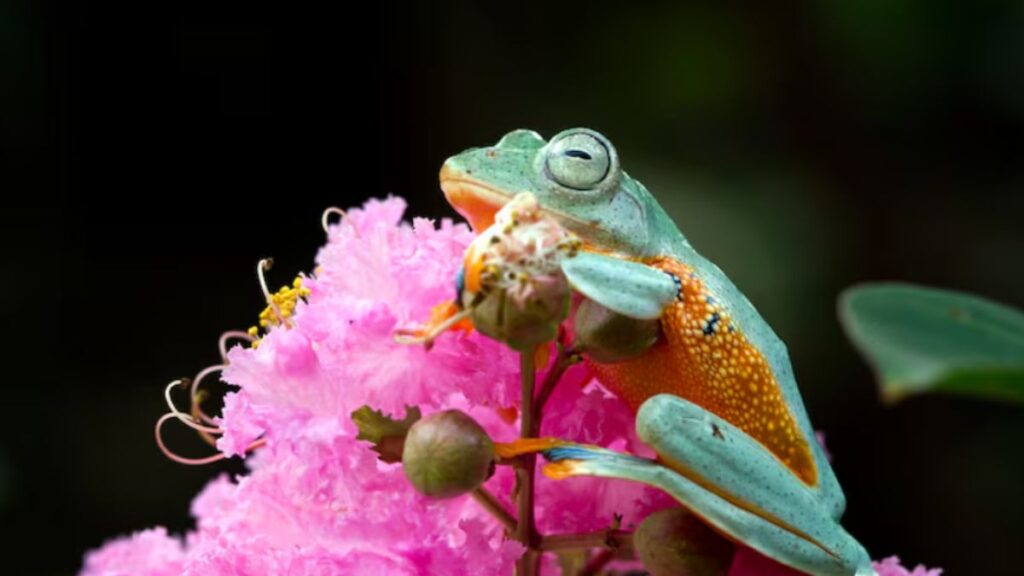 Ronenia Unique Flora and Fauna: A Biodiversity Paradise